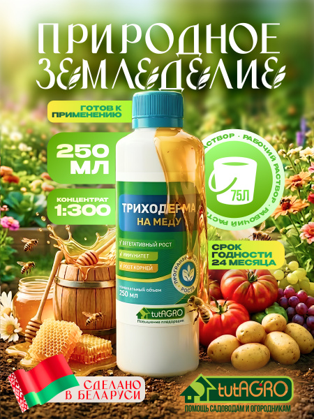 триходерма на меду