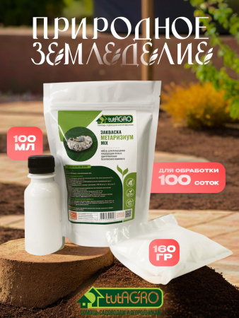 метаризиум