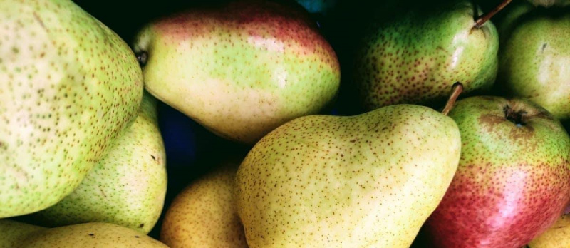 Улучшаем посадки груши