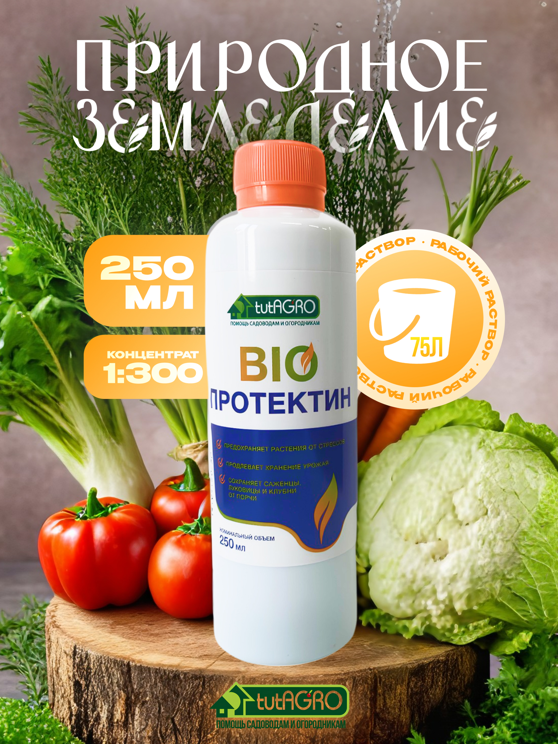 протектин(1)