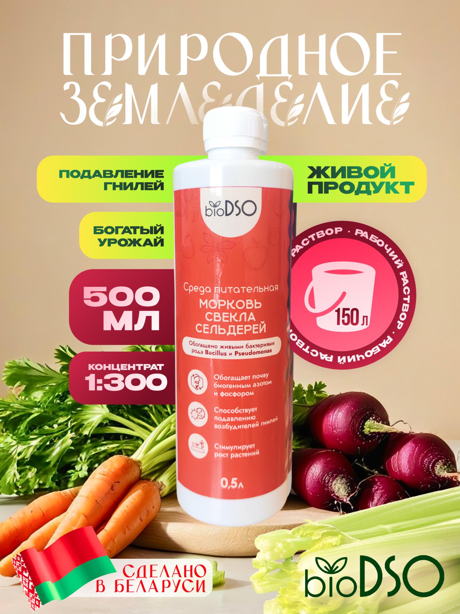 Морковь свекла сельдерей 500