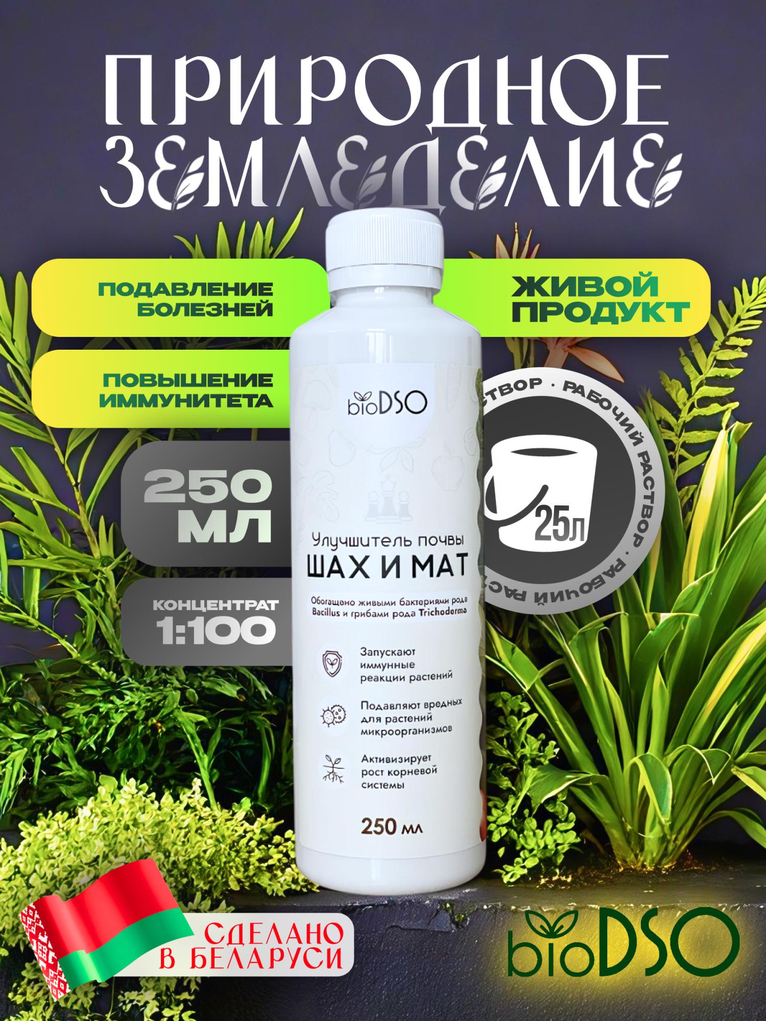 Шах и мат 251