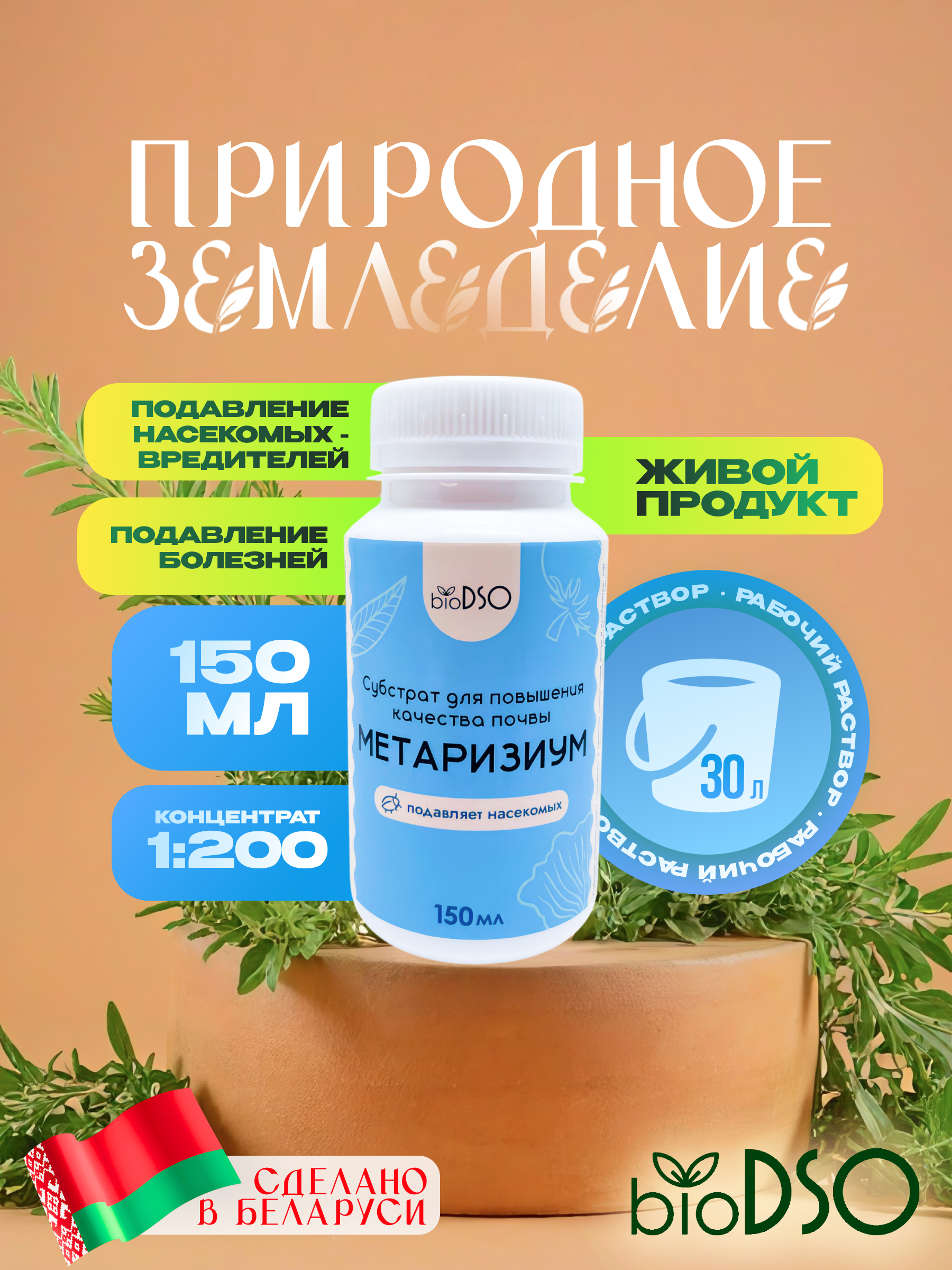 Метаризиум