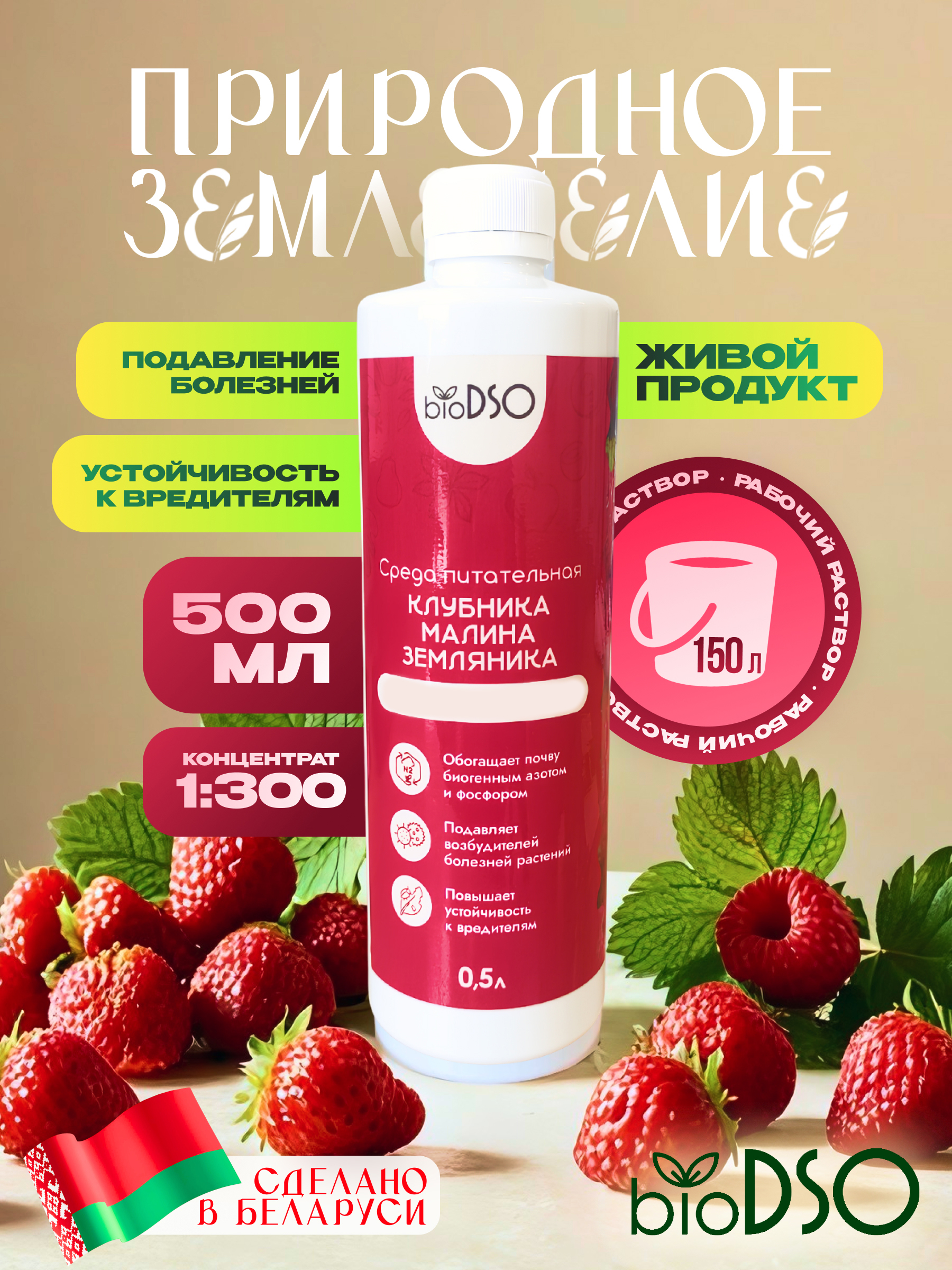 Клубника, малина, земляника 500 сайт