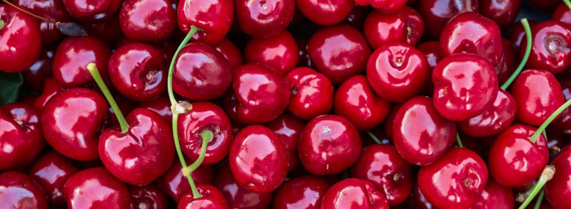 Улучшаем посадки вишни