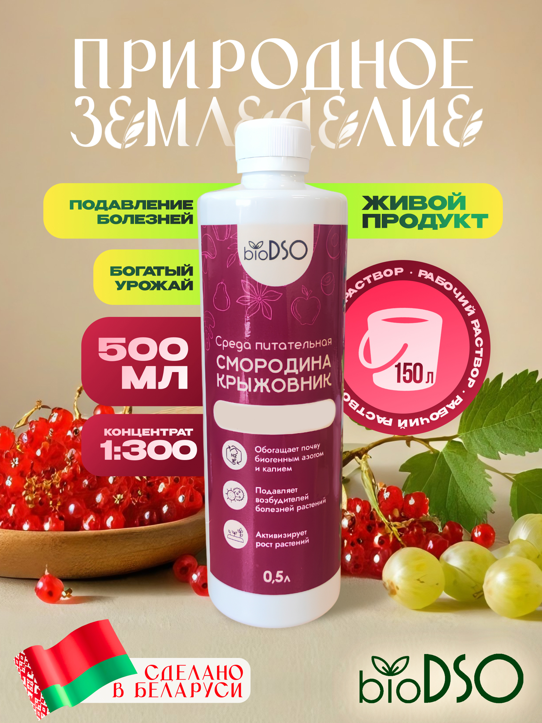 Смородина крыжовник 500 сайт