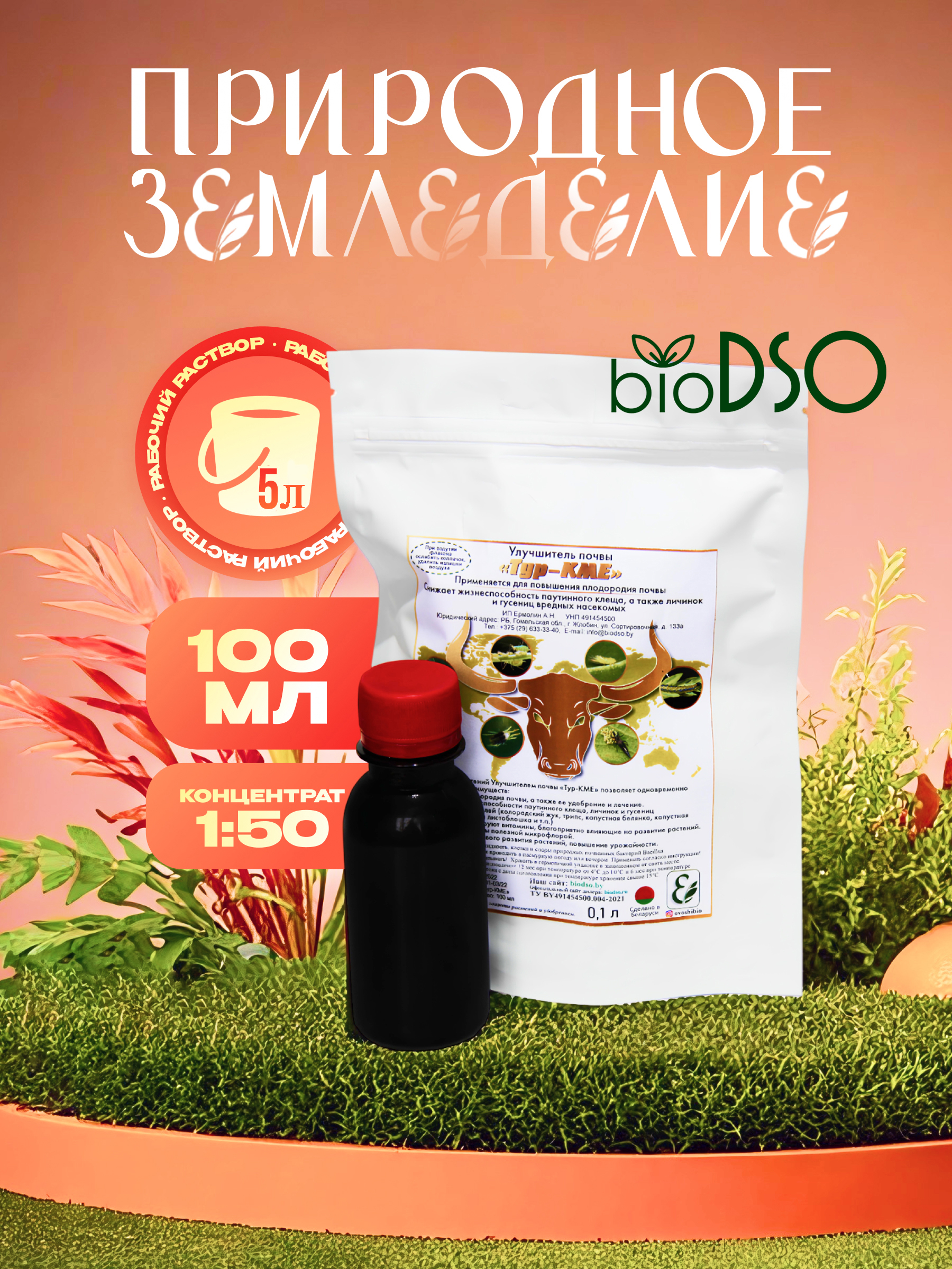 Тур с лого 100