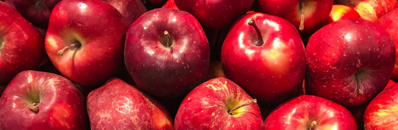 Улучшаем посадки яблонь