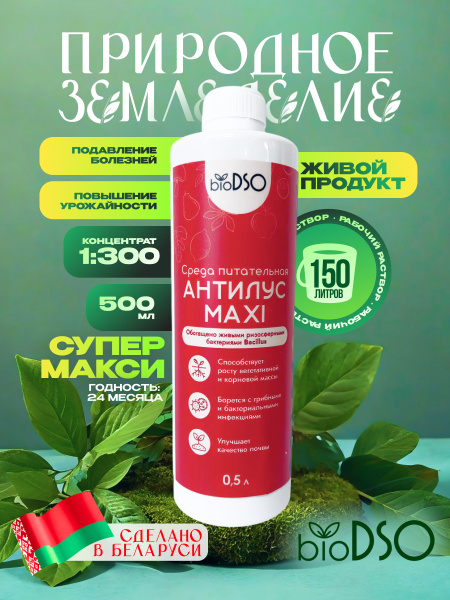 АНТИЛУС МАКСИ