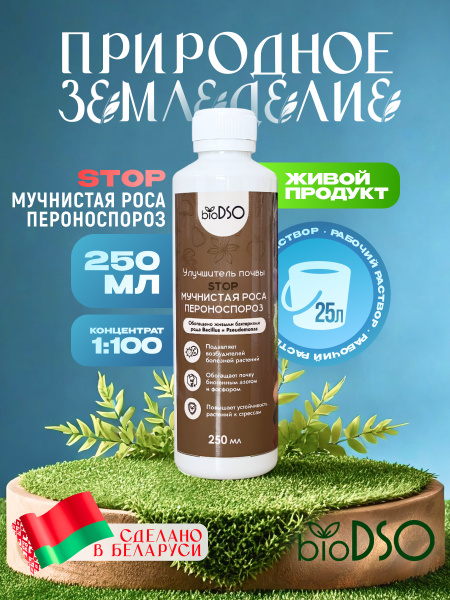 Пероноспороз