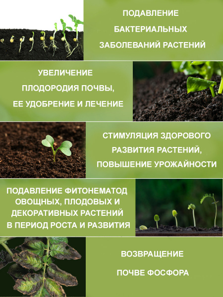 Аидис_назначение