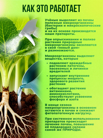 как это работает