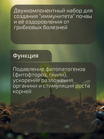02_Триходерма_-02