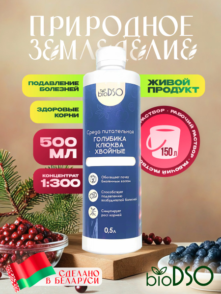 Голубика, клюква, хвойные 500 сайт