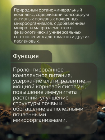 Агроцимес_Томаты_002