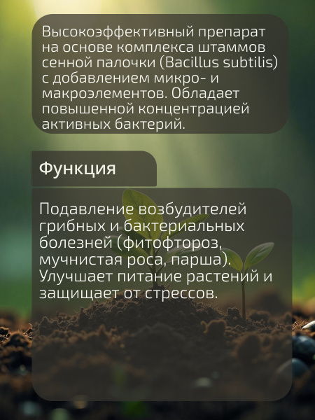 11_Новоспорин Голд_-02