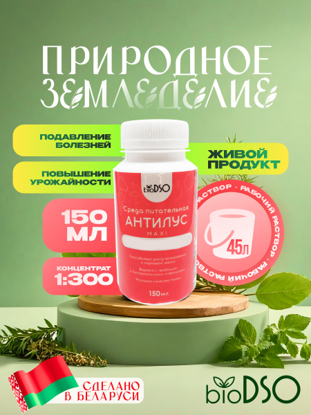 антилус сайт