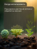 Агроцимес_Голубика_003
