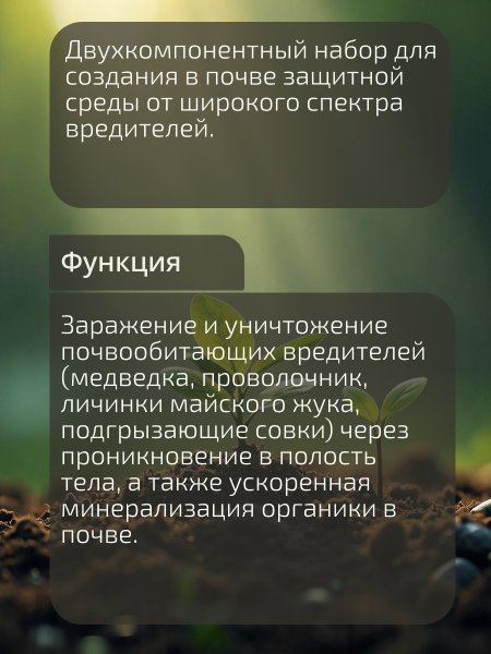 03_Метаризиум_-02