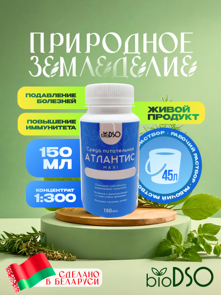 Атлантис Макси сайт