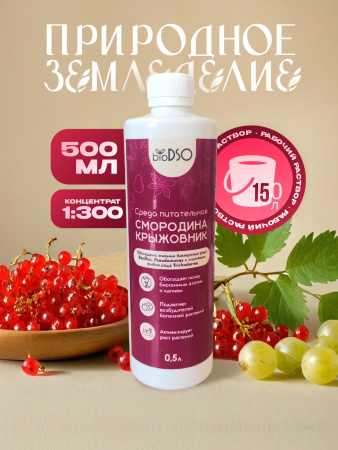 Смородина крыжовник 500
