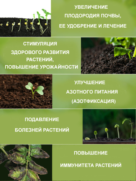 Титаниум назначение