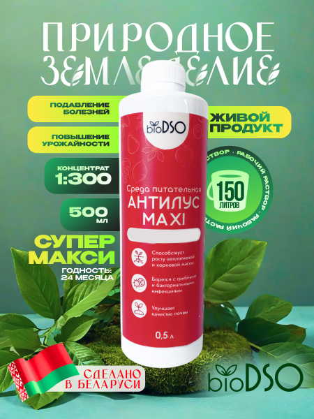 АНТИЛУС МАКСИ сайт