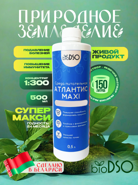 АТЛАНТИС МАКСИ сайт