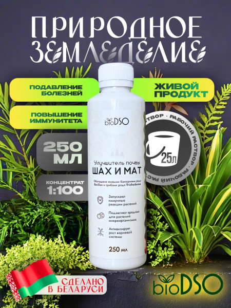 Шах и мат 251