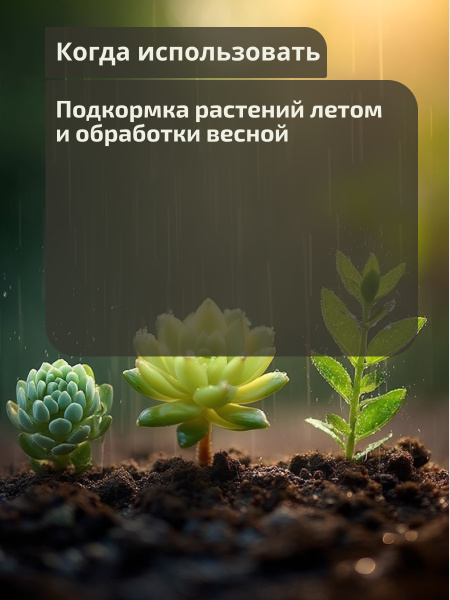 Агроцимес_Томаты_003