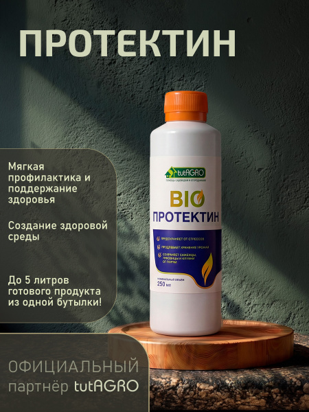 Протектин_01