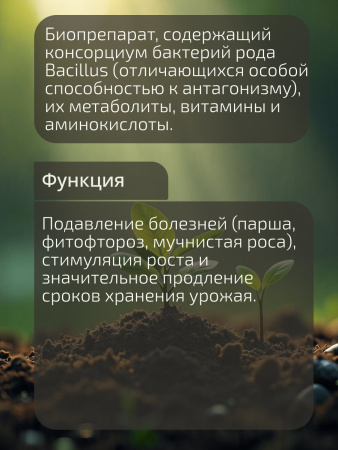 Протектин_002