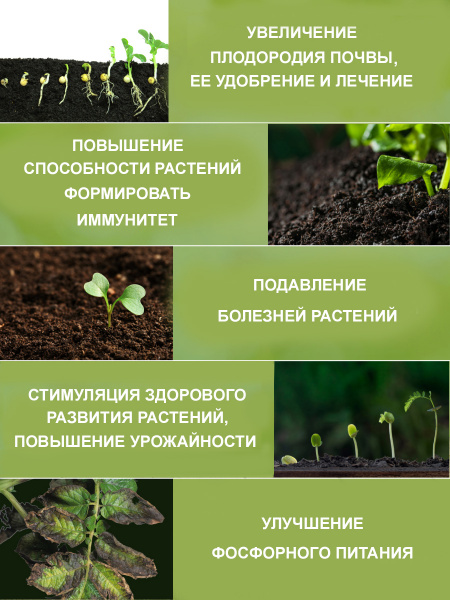 Атлантис_назначение