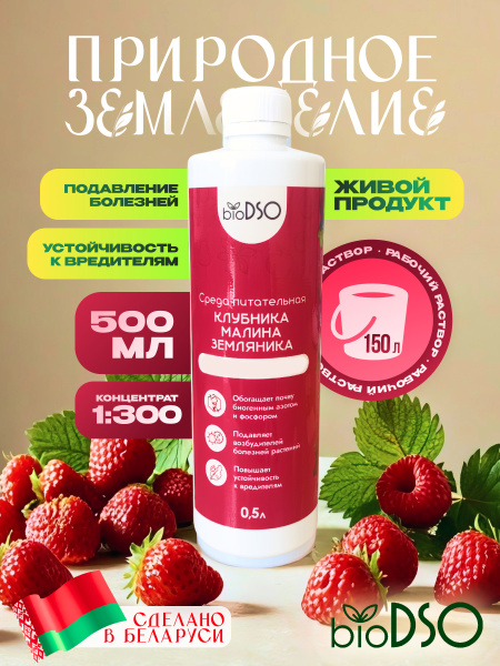 Клубника, малина, земляника 500 сайт