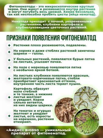 фитонематоды