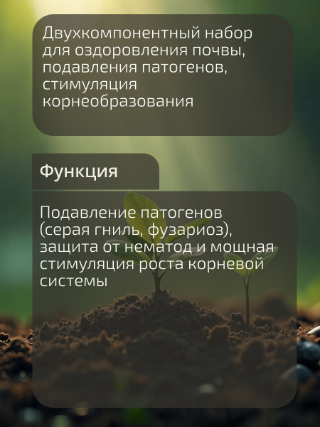 01_Клоно микс_02