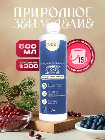 Голубика, клюква, хвойные 500