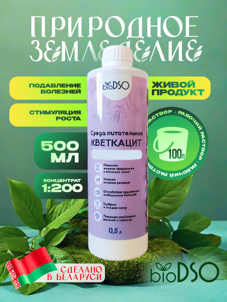 Кветкацит сайт