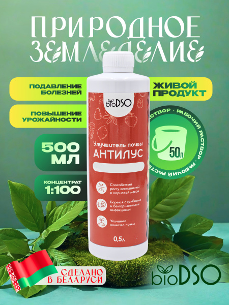 Антилус 500 сайт