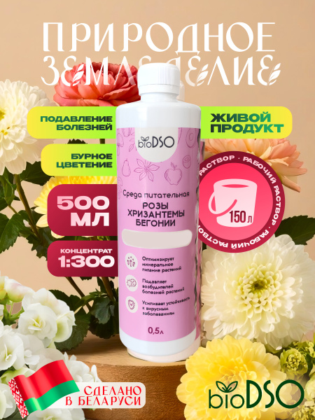 Розы хризантемы бегонии 500 сайт