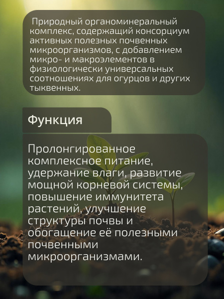 Агроцимес_Огурцы_002