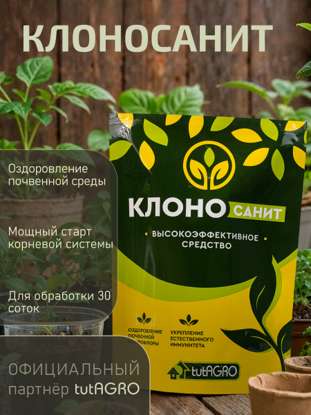 Клоносанит_001