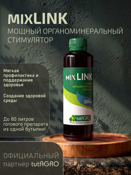 Микслинк_001