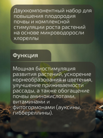 07_Хлорелла_-02