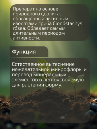 Клоносанит_002