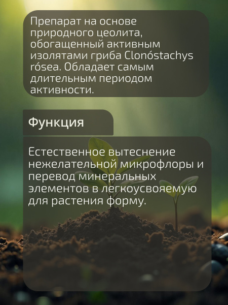 Клоносанит_002