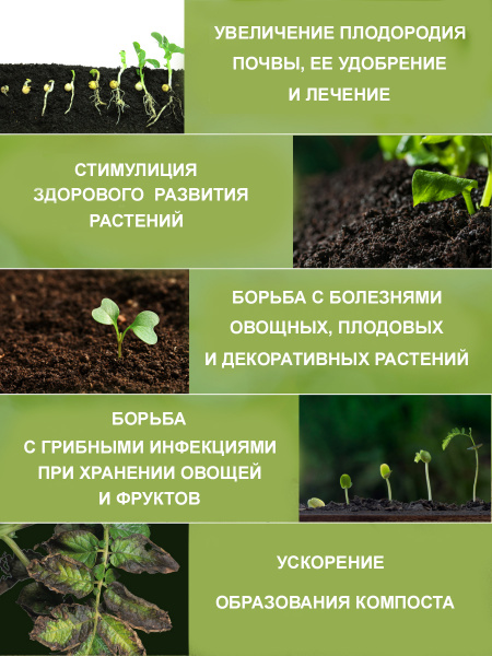 Триходерма_КМЕ_назначение