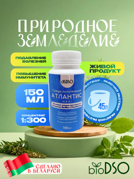 Атлантис Макси