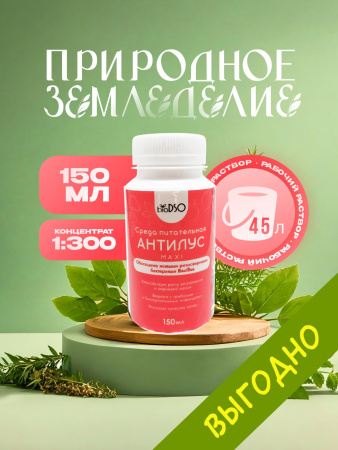Антилус макси сайт